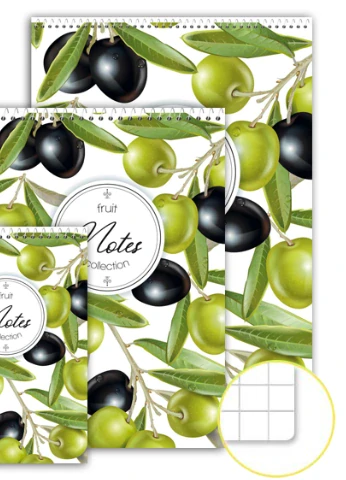 NOTES Blok A4 čtverečkovaný , spirála ,bílý 