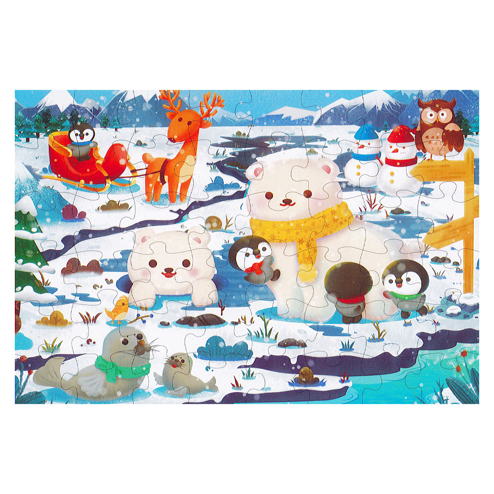JUNIOR Dětské puzzle 50 x 34 cm (48 dílků) - Snow Wonders