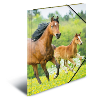 HERMA Deska s gumičkou PP A3 Horses - kůň