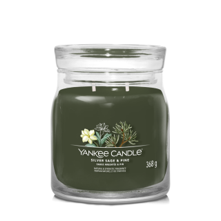 Yankee Candle Svíčka Yankee Candle - Silver Sage & Pine, střední