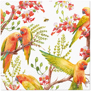 PAW Ubrousky PAW L 33x33cm Exotic birds