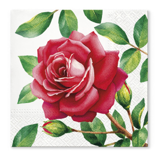 PAW Obrousky TaT 33x33cm Special Rose