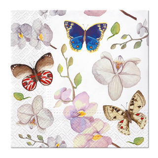 PAW Ubrousky PAW L 33x33cm Orchidej Butterfly - motýl