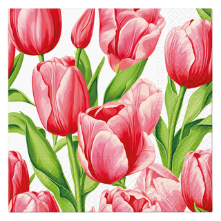 PAW Ubrousky PAW L 33x33cm Tulip Time