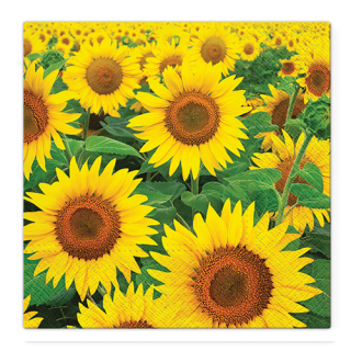 PAW Obrúsky TaT 33x33cm Sunflowers Field