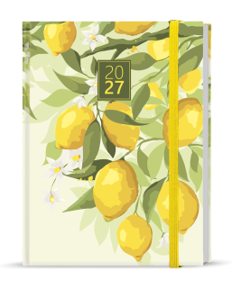 Baloušek Týdenní diář - Prokop - Lamino - B6 - Citron