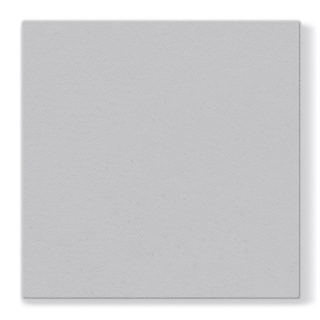 PAW Ubrousky PAW AIRLAID L 40x40cm Monocolor Silver