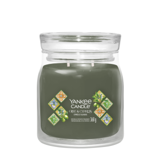 Yankee Candle Svíčka Yankee Candle - OLIVE CYPRESS, střední